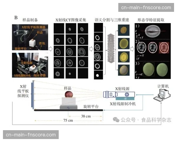 深度学习驱动的自动导播在现阶段实测 显著降低人工操作强度